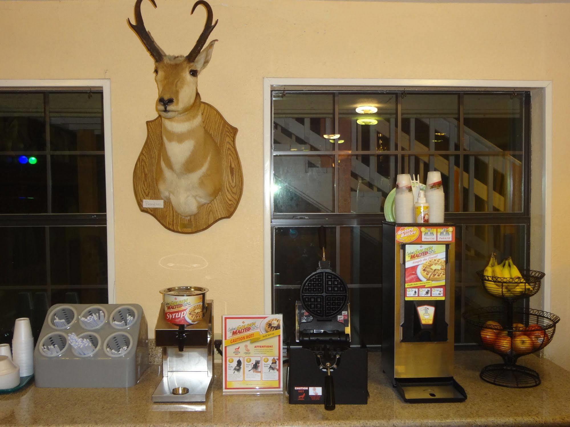 Antlers Inn Goliad 외부 사진
